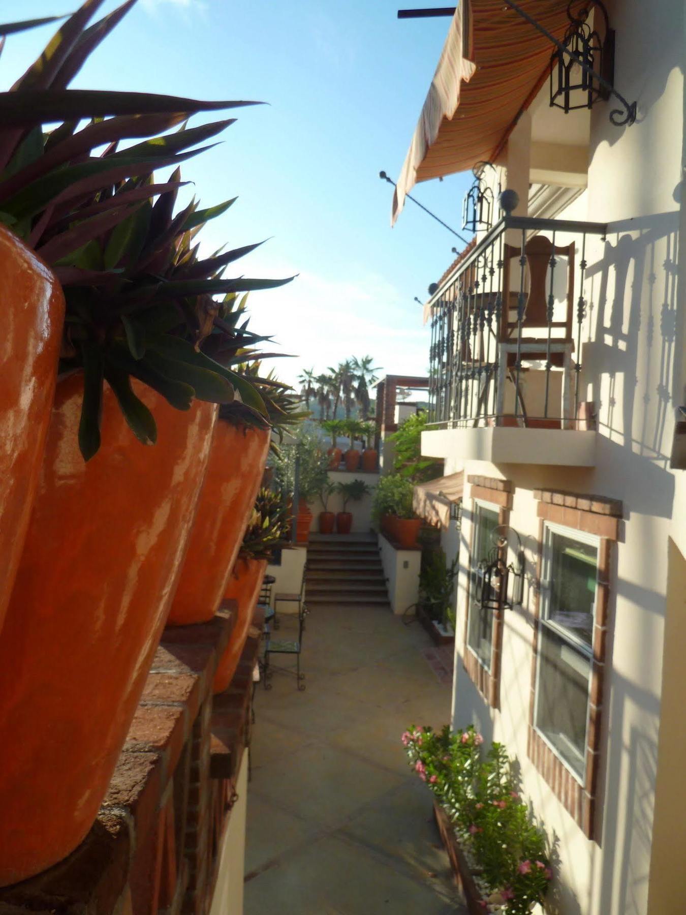 The Suites By Villa Valentina San José del Cabo 외부 사진
