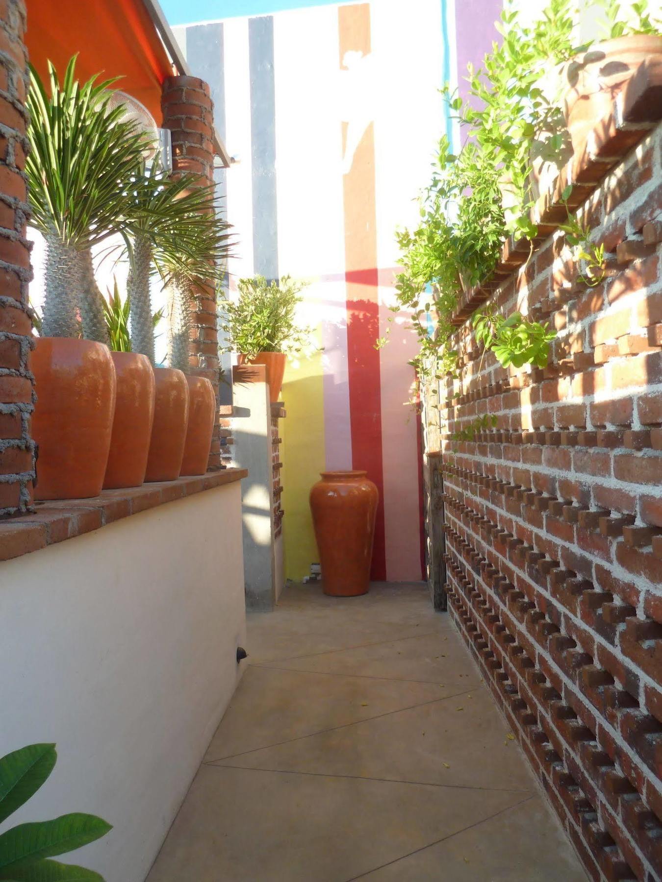 The Suites By Villa Valentina San José del Cabo 외부 사진