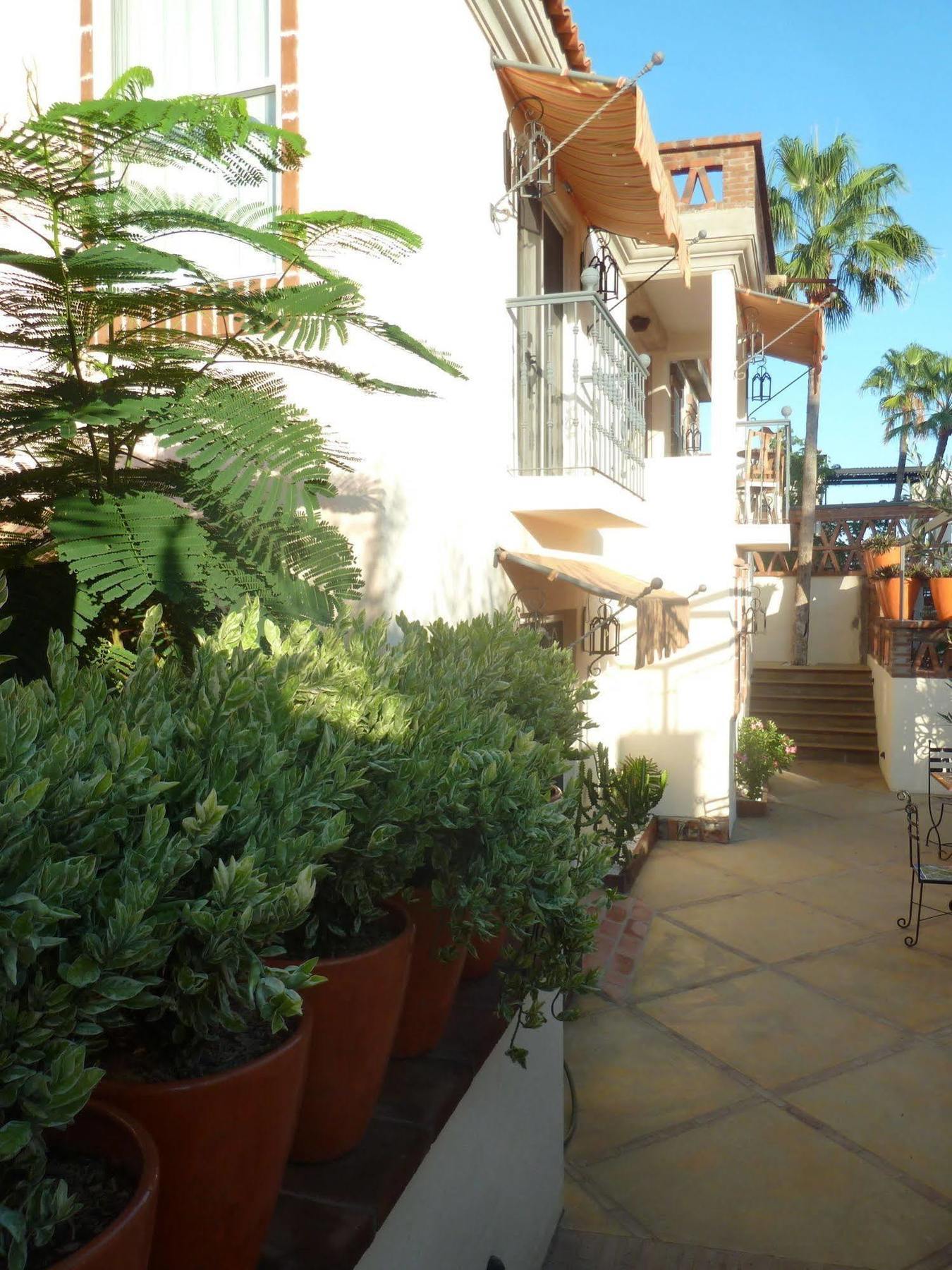 The Suites By Villa Valentina San José del Cabo 외부 사진